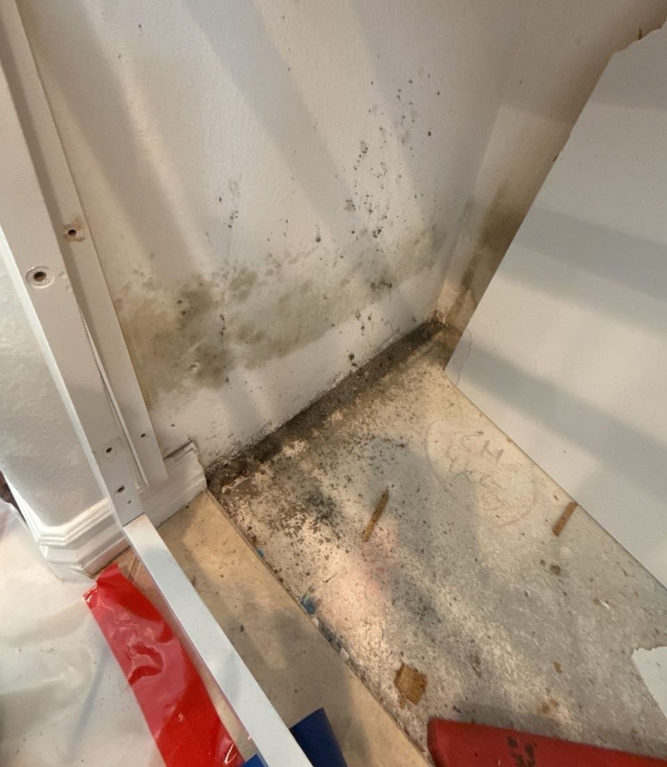 Mold spotting on drywall and subfloor inside a cabinet opening after a leak.