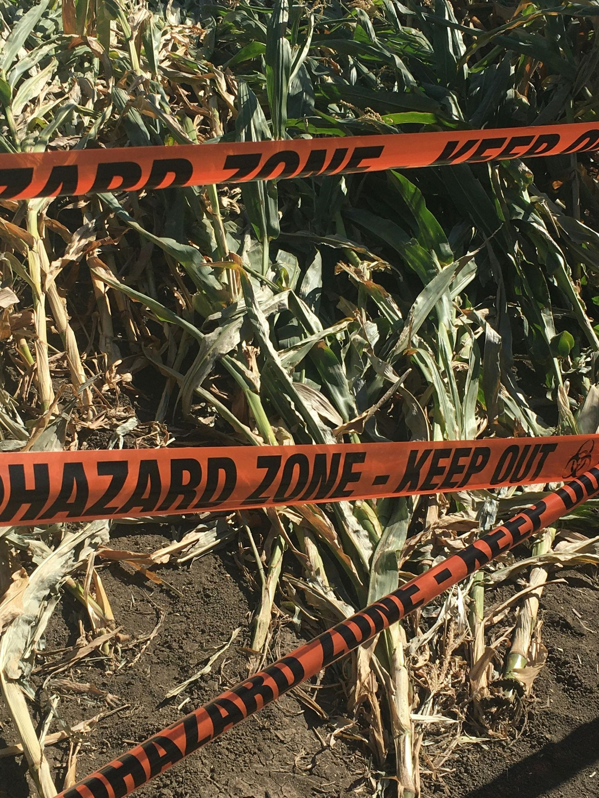 A close up of a hazard zone tape in a field