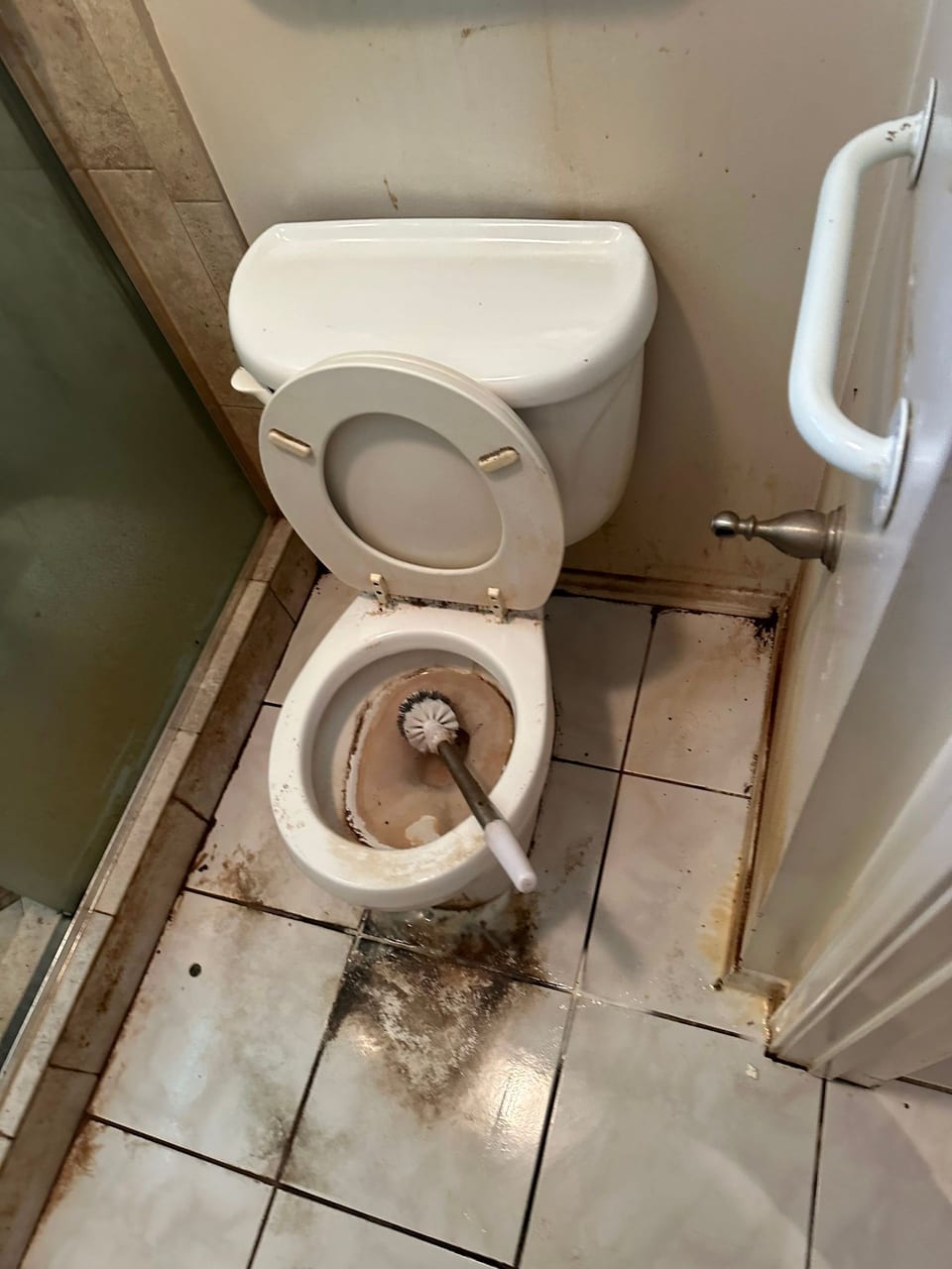 A toilet with a brush in it in a bathroom.