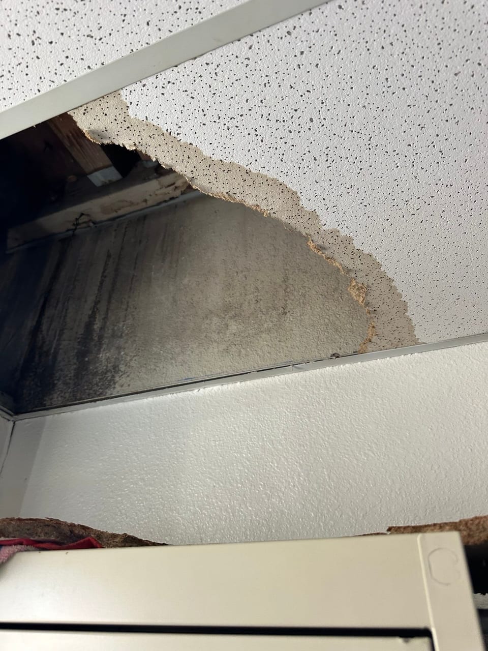 Water-stained ceiling cavity exposed where leaking roof water broke through the tiles.